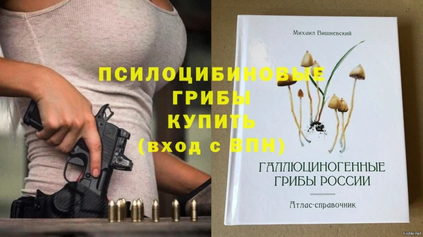 героин Алзамай