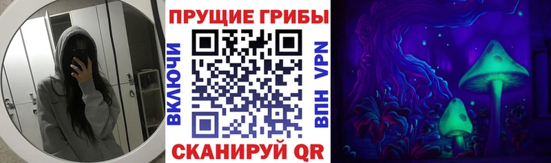 Галлюциногенные грибы GOLDEN TEACHER  Аргун 