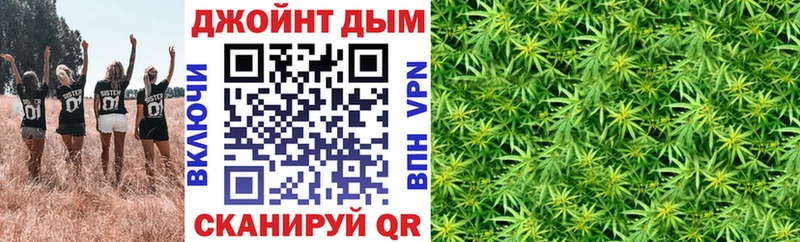 Бошки Шишки Amnesia  дарк нет телеграм  Аргун 